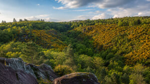 alle senza Ritorno nella foresta di Brocéliande