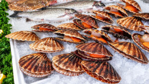 Le coquilles Saint-Jacques, una delle specialità simbolo di Erquy